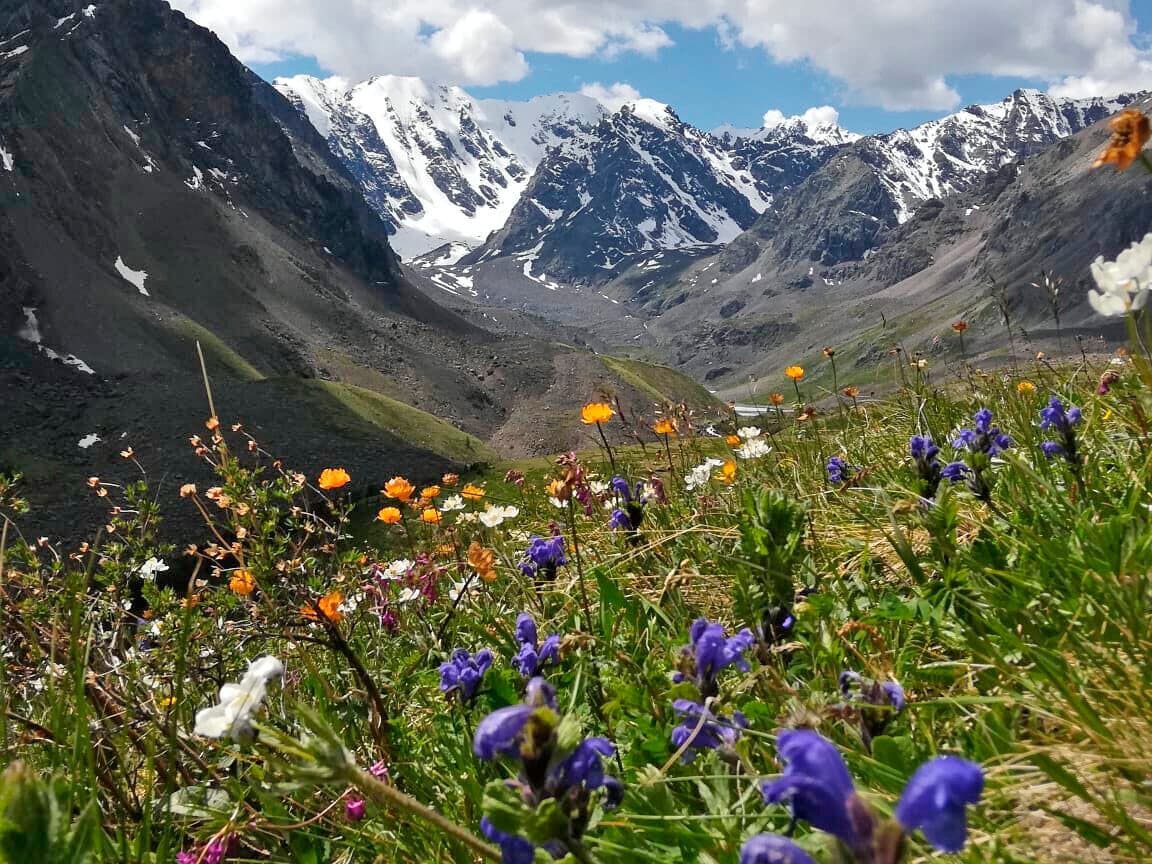 "Изумруды Алтая", легкий поход с вьючными лошадьми - фото 3