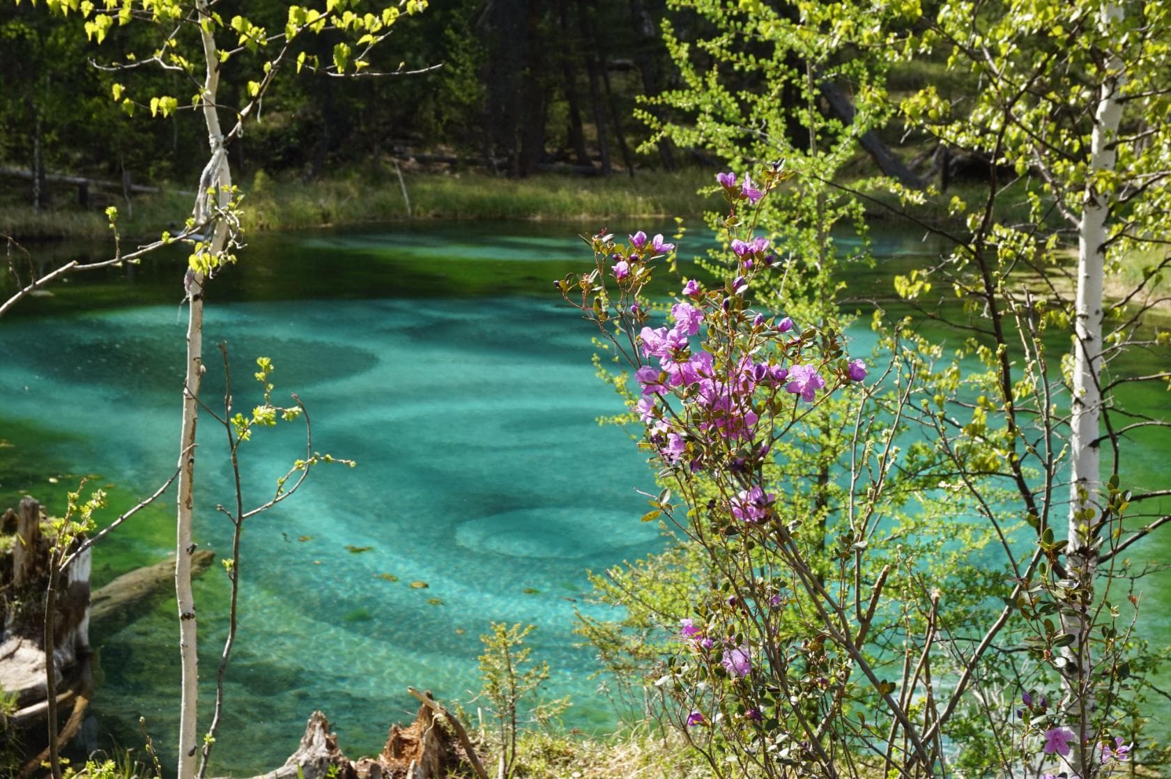 "Яркий Алтай", весеннее автопутешествие - фото 3