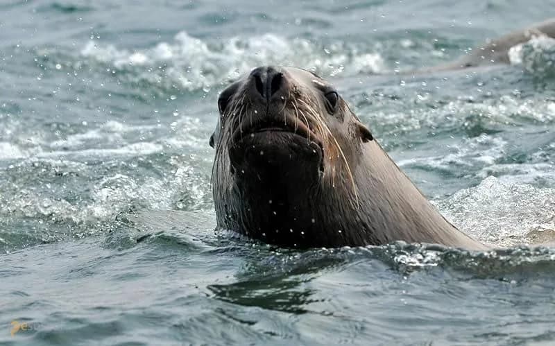 Программа экскурсии