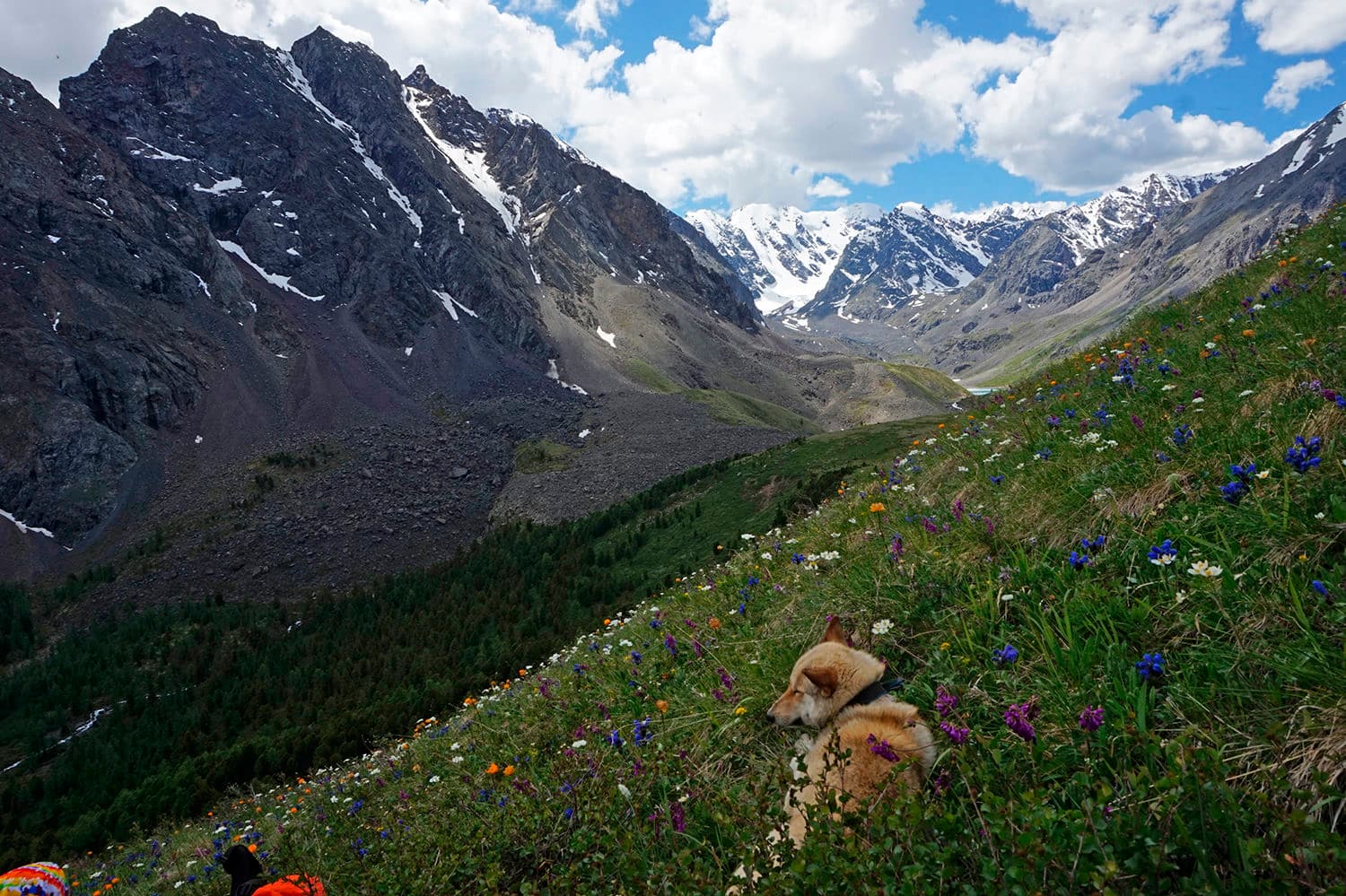 "Изумруды Алтая", легкий поход с вьючными лошадьми - фото 8