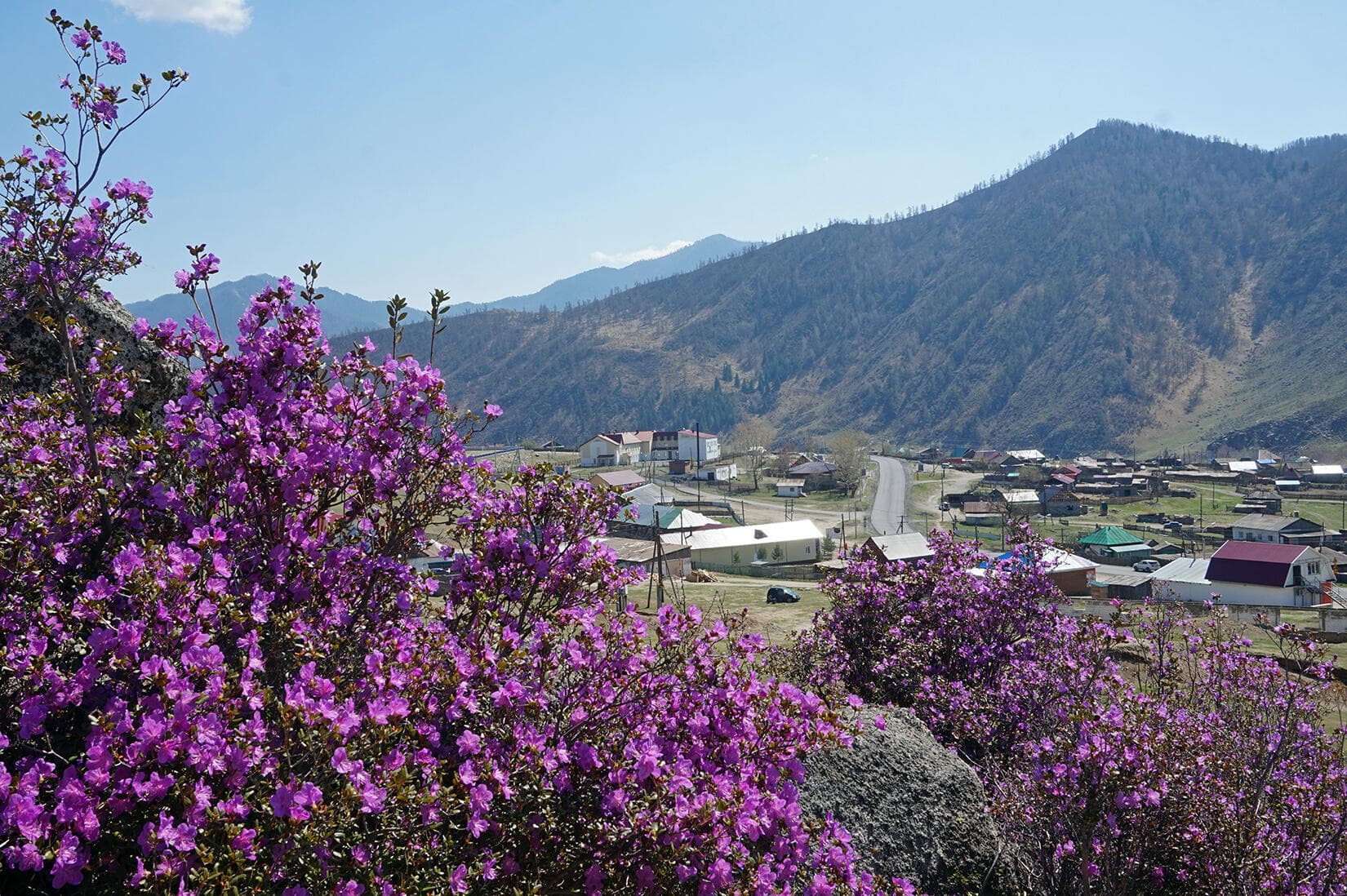 "Яркий Алтай", весеннее автопутешествие - фото 5