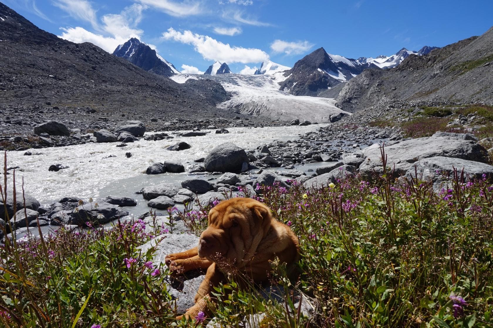 "Серебро Алтая", трекинг без рюкзаков к ледникам Актру - фото 8