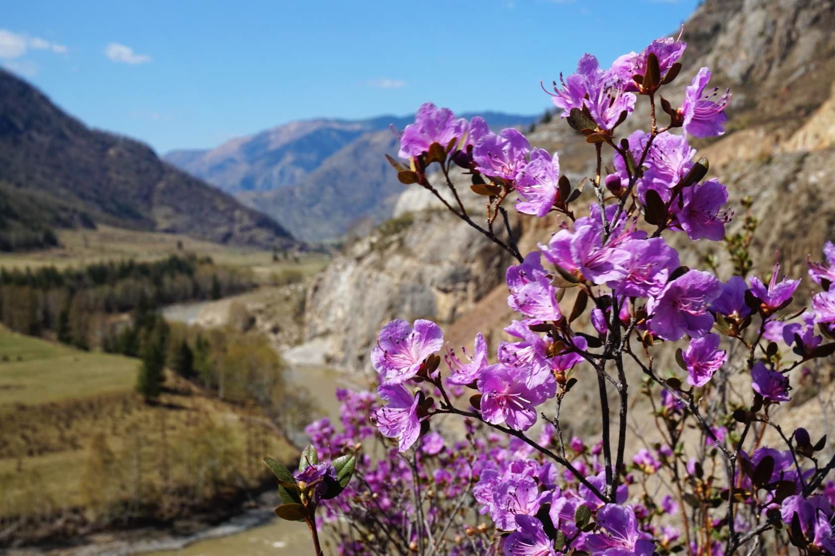 По следам древних путей: путешествие по Чуйскому тракту