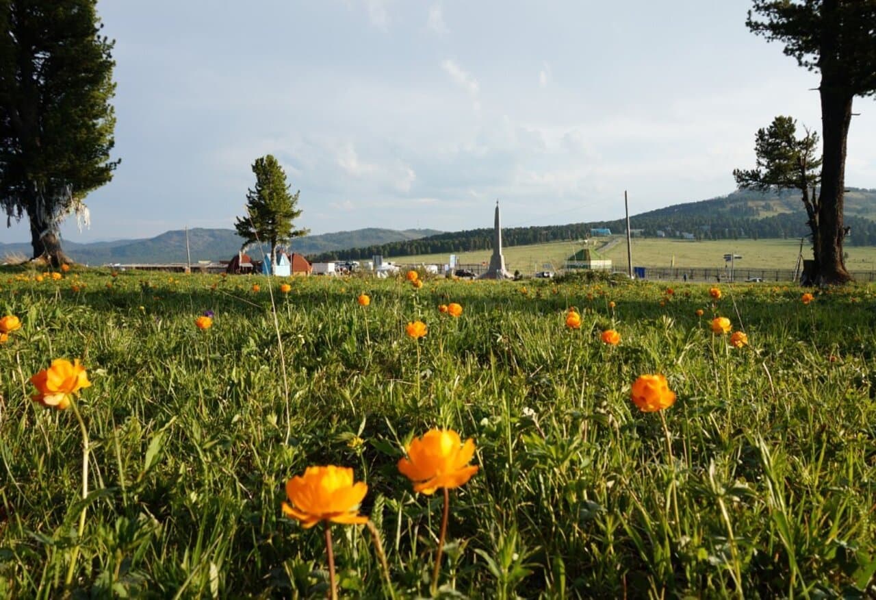 Путешествие начинается!