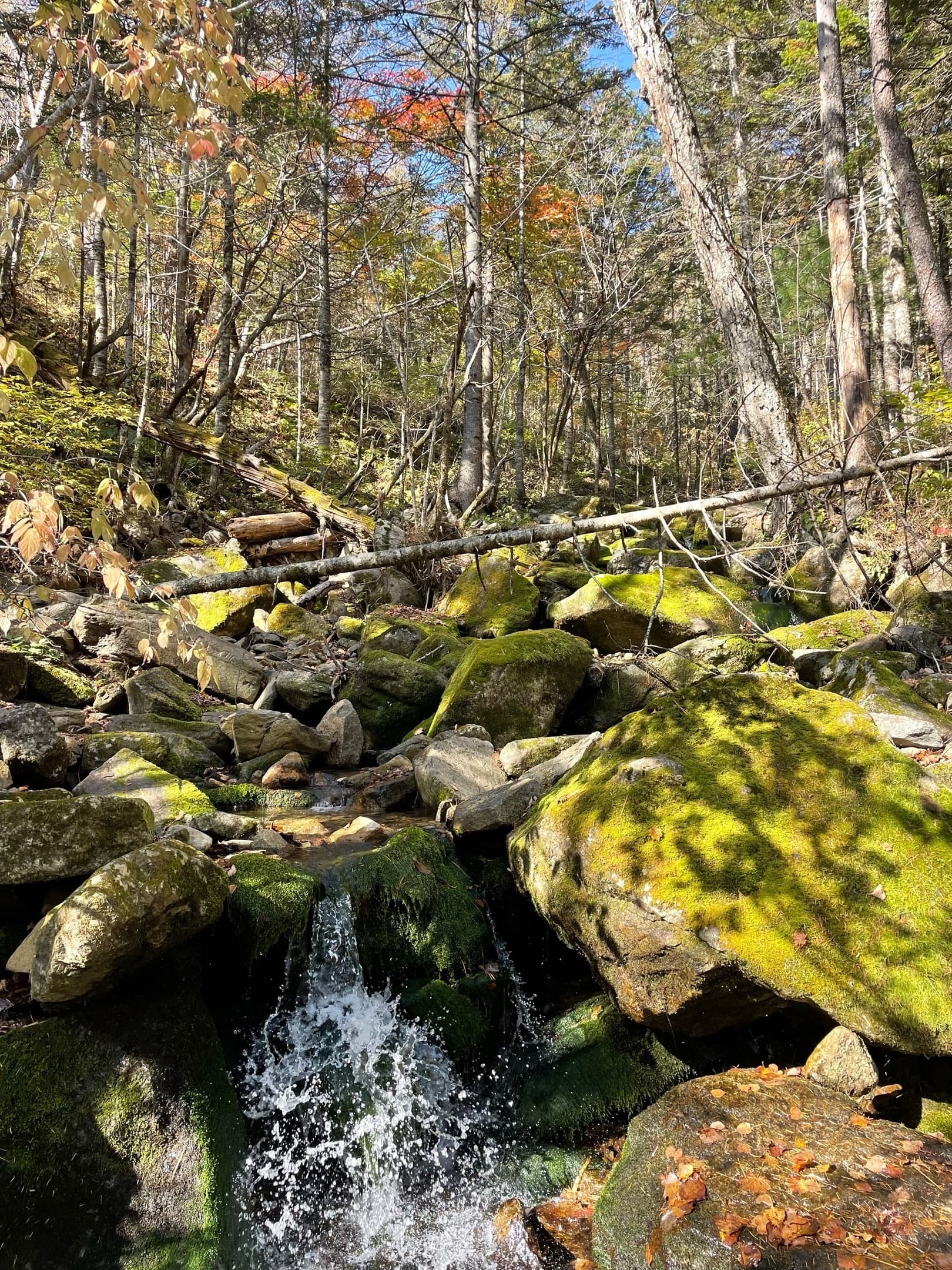 Треккинг на Беневские водопады - фото 5