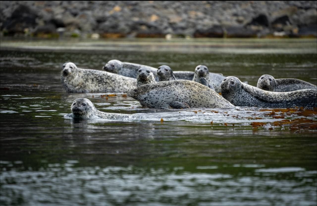 Двухдневная экскурсия на остров Монерон - жемчужина Дальнего Востока! - фото 1