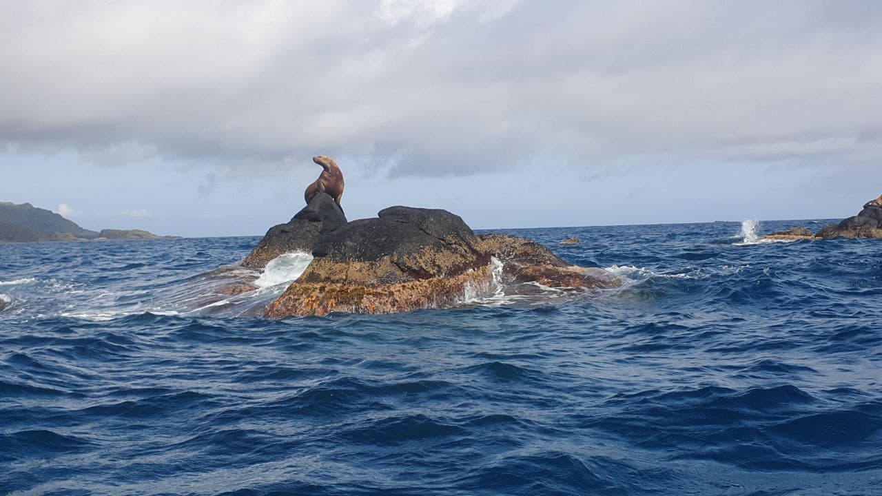 Двухдневная экскурсия на остров Монерон - жемчужина Дальнего Востока! - фото 9
