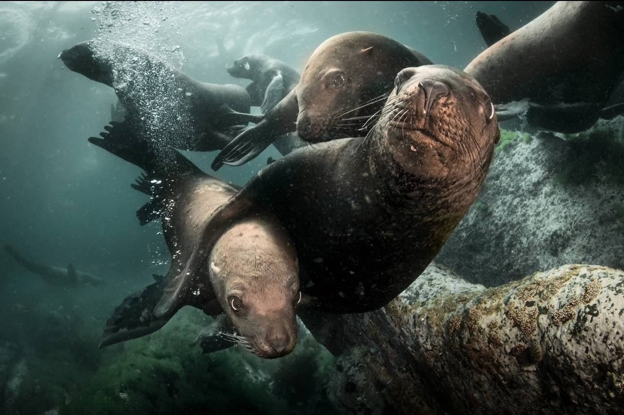 Двухдневная экскурсия на остров Монерон - жемчужина Дальнего Востока! - фото 4