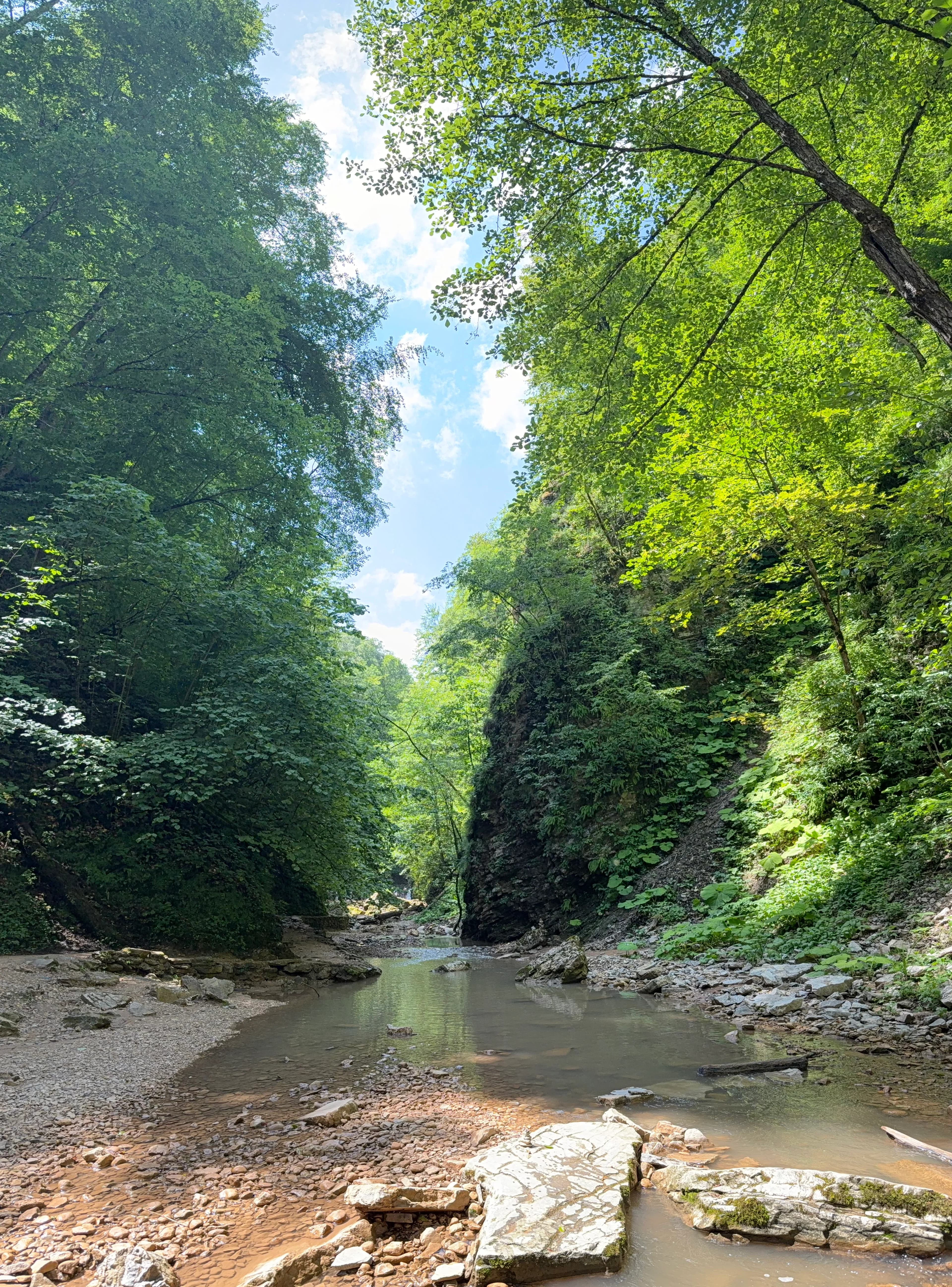 Автобусный тур в горную Адыгею сезон 2026 г. - фото 9