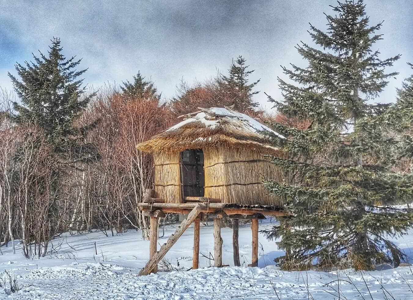 Бухта Тихая (зимой) - фото 9