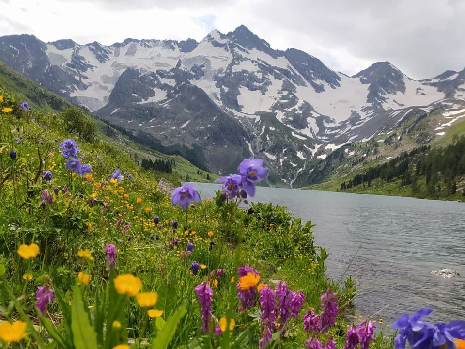 "Мультинская сказка", кольцевой поход к озерам Катунского хребта - фото 1
