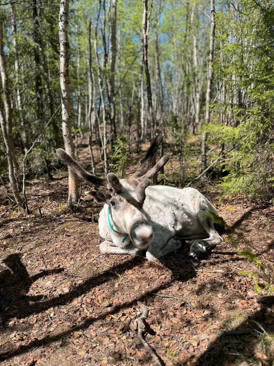 Горы. Море. Водопады: Териберка - край земли - фото 4