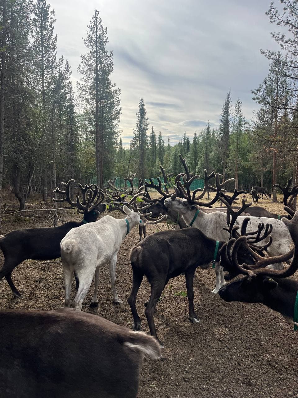 По волнам Арктики: Териберка c выходом в море - фото 8