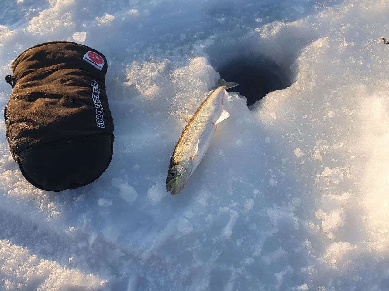 Зимняя Охота на Сахалинскую Корюшку - фото 3