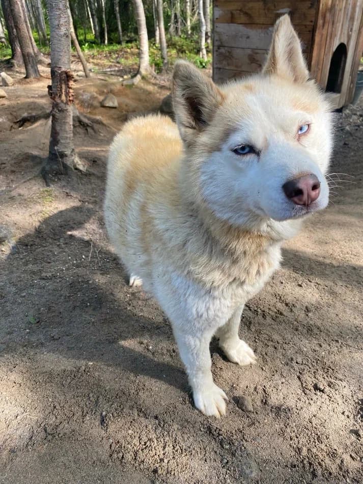 Горы. Море. Водопады: Териберка - край земли - фото 10