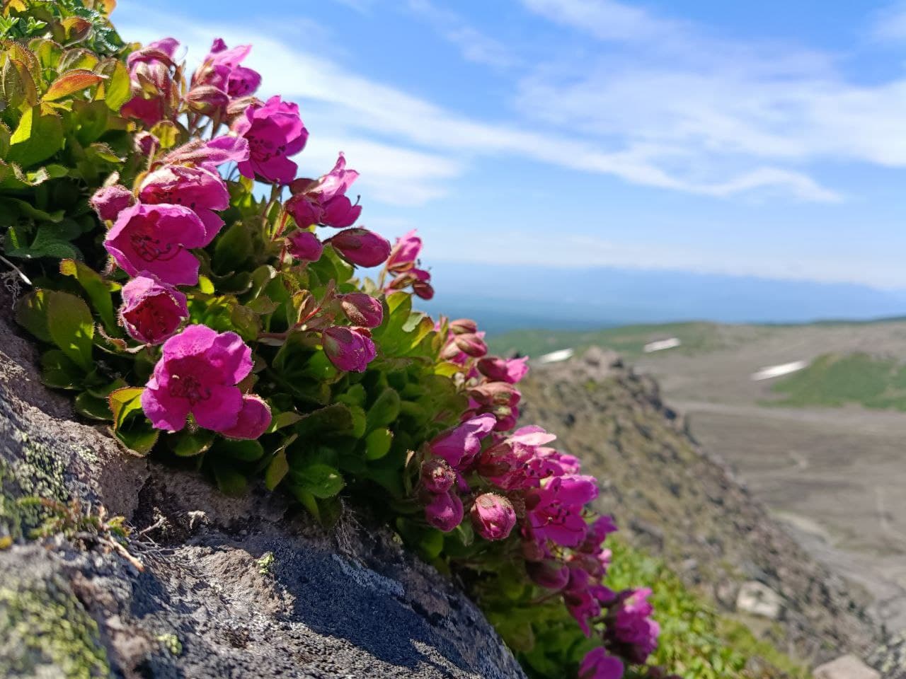 Маршрут экскурсии