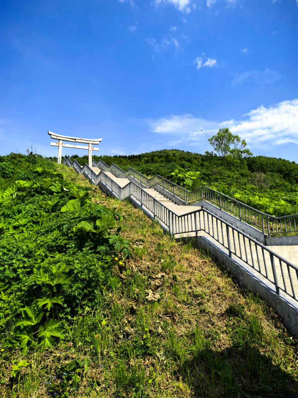 Авторский тур: Сахалин - перезагрузка! - фото 8