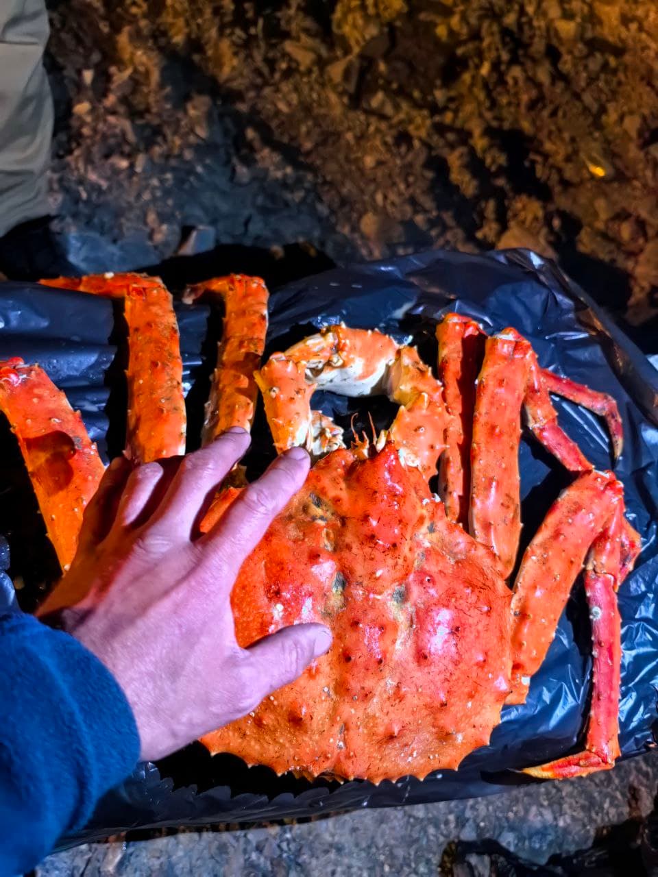 Охота на краба «Сахалинская крабалка» - фото 5