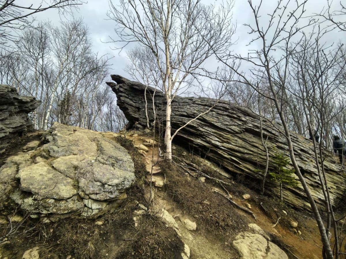 Джип-тур: Малое юго-восточное кольцо Сахалина - фото 10