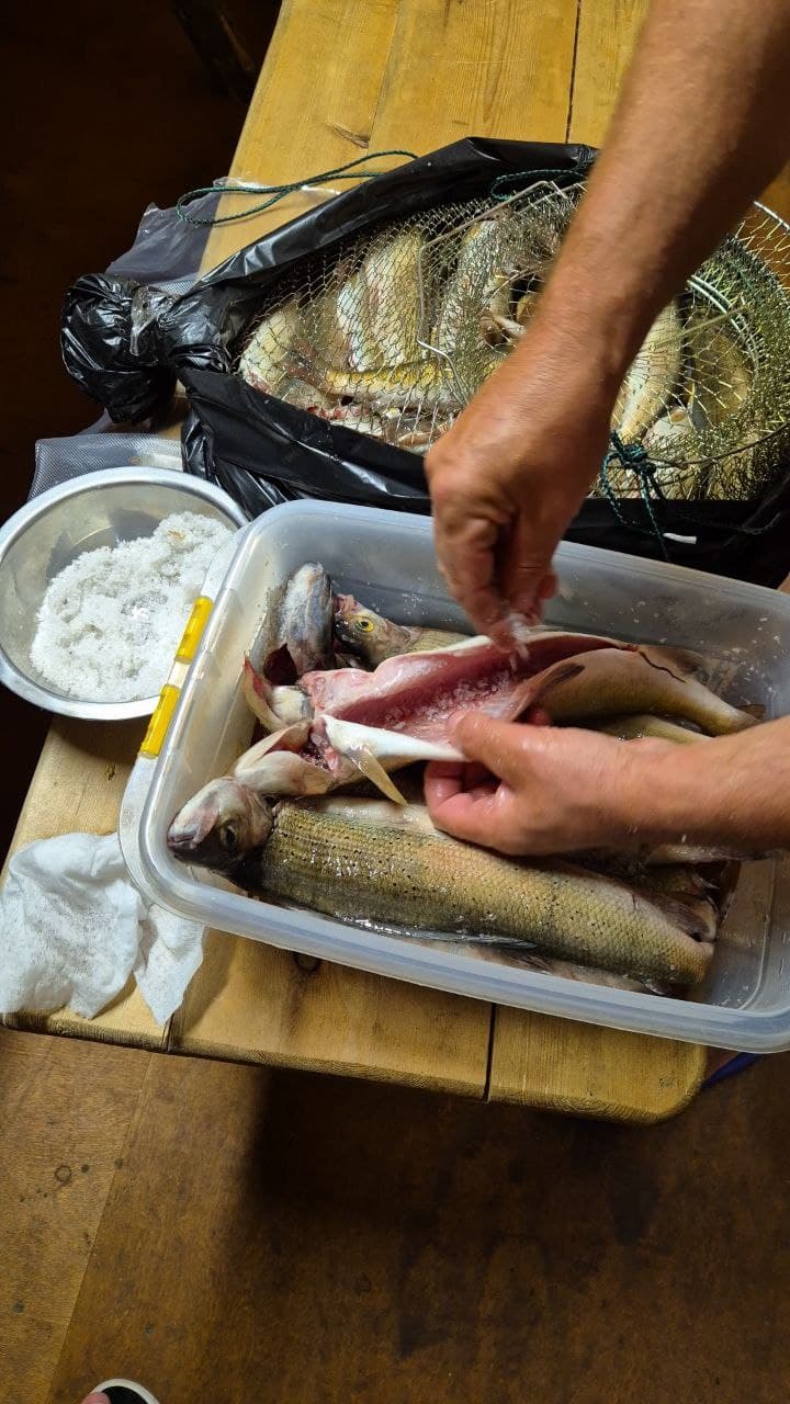 Эксклюзивный тур: отдых и рыбалка в дикой тайге у Северобайкальска - фото 10