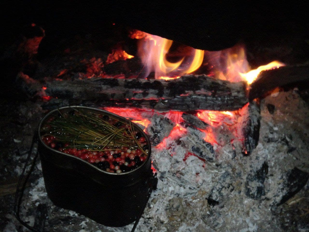 "Золотая Кучерла", пеший поход по Алтаю - фото 2