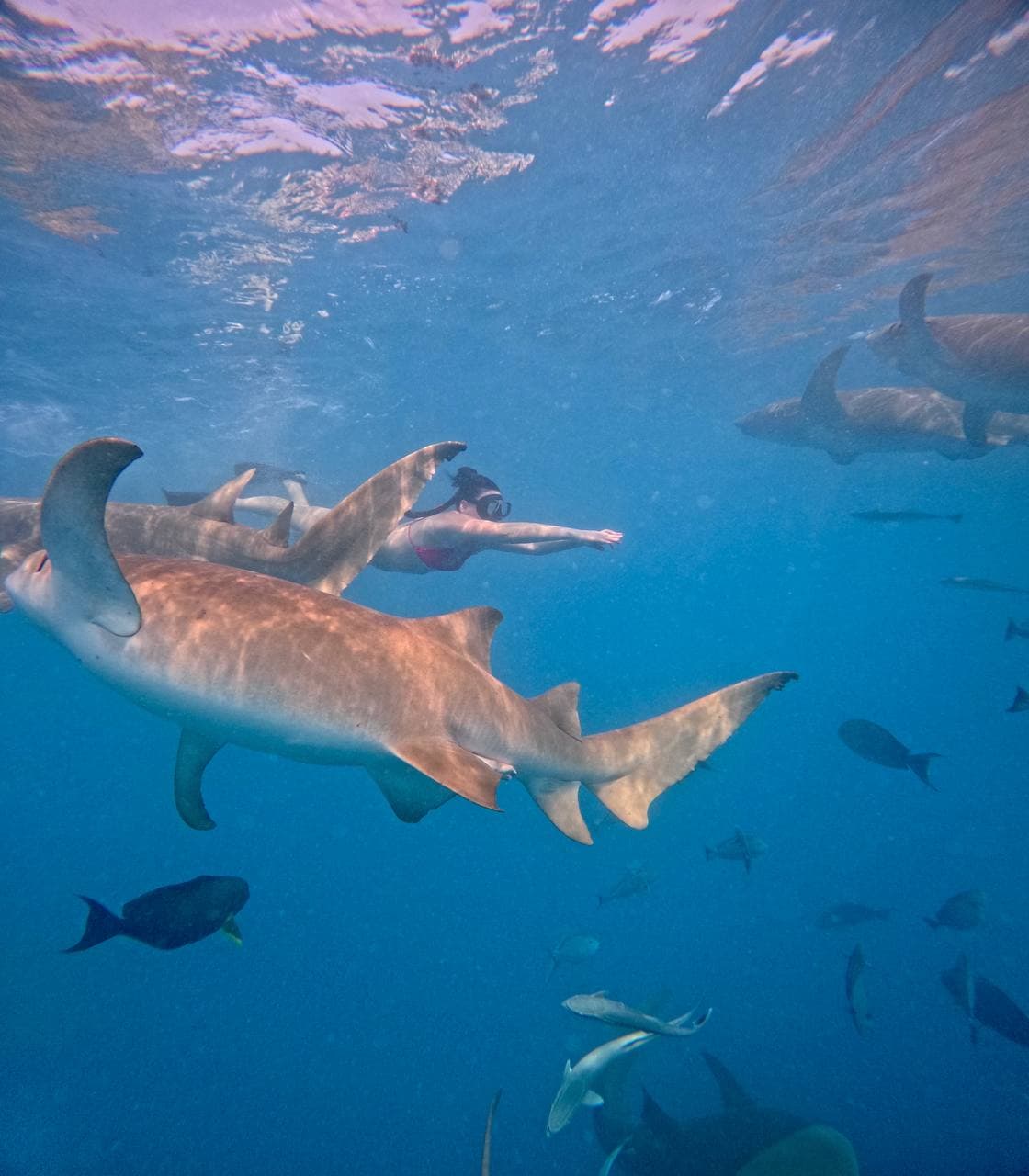 Райские Мальдивы, 8 дней - фото 3