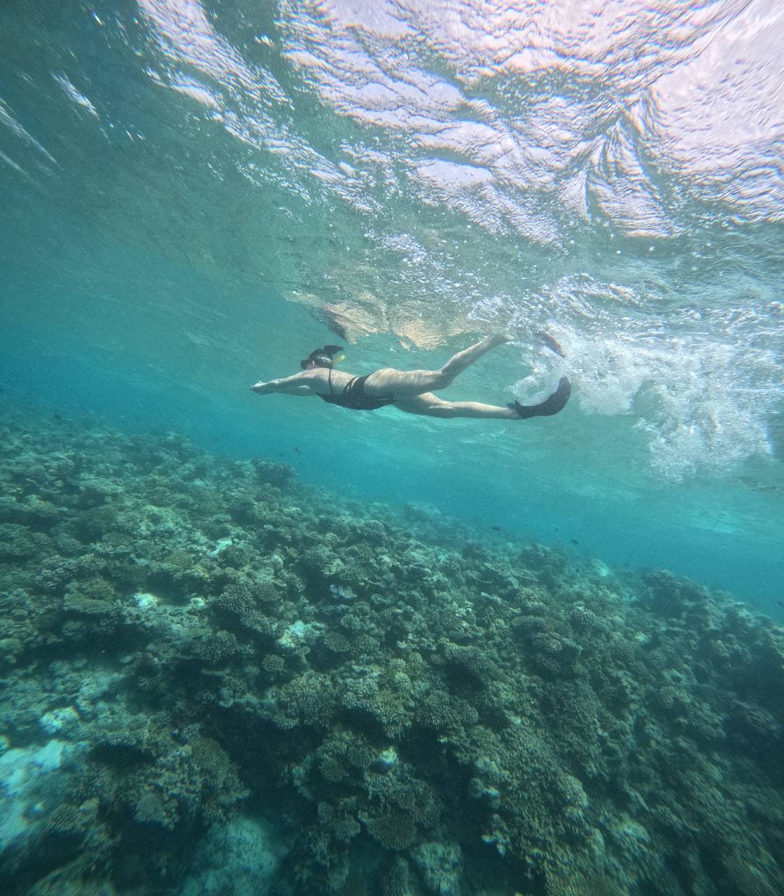 Райские Мальдивы, 8 дней - фото 2