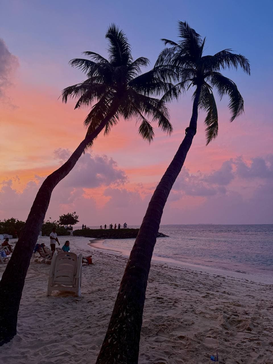 Встреча в аэропорту, Трансфер, приветственный ужин