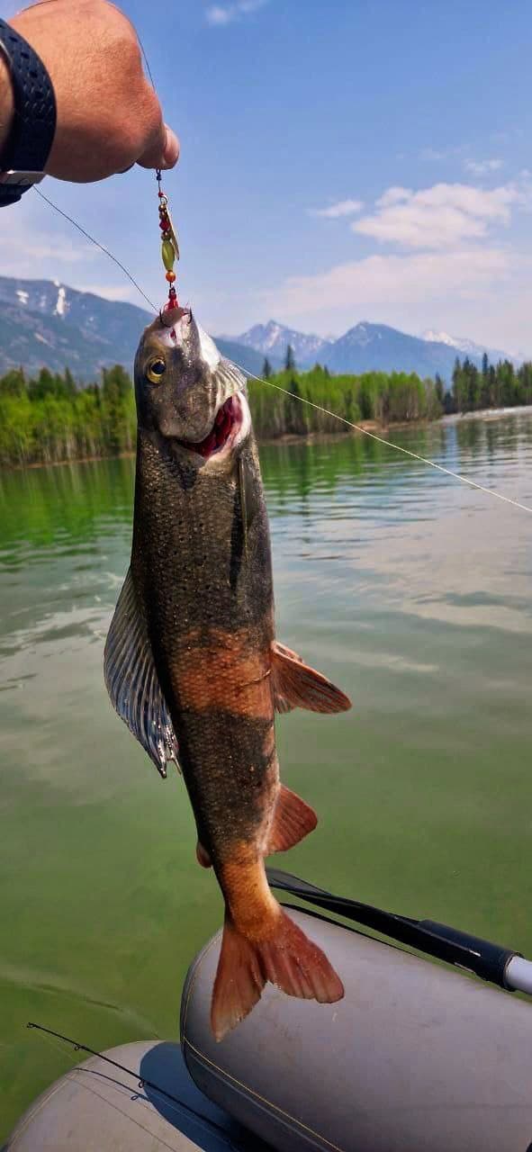 Эксклюзивный тур: отдых и рыбалка в дикой тайге у Северобайкальска - фото 9