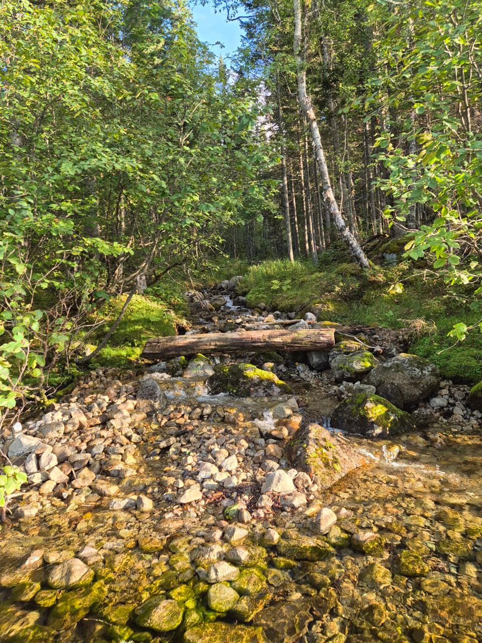 Эксклюзивный тур: отдых и рыбалка в дикой тайге у Северобайкальска - фото 4
