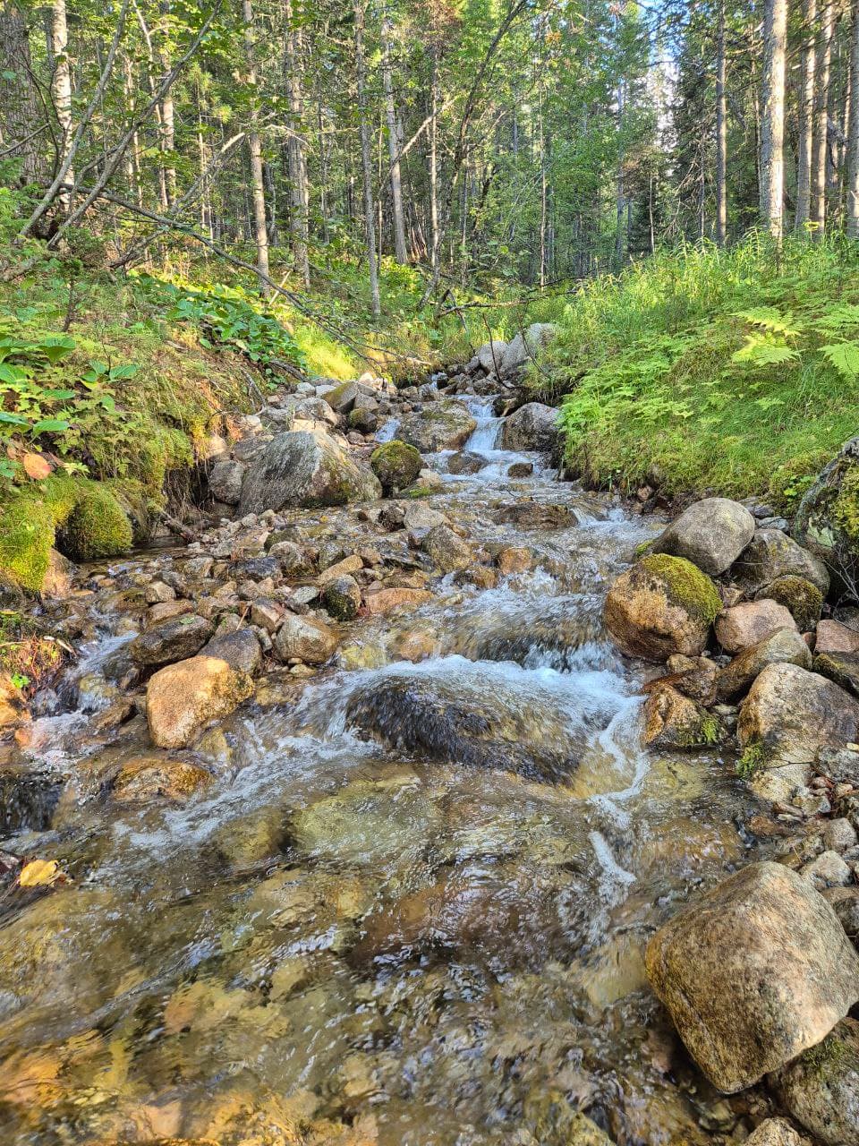 Эксклюзивный тур: отдых и рыбалка в дикой тайге у Северобайкальска - фото 3