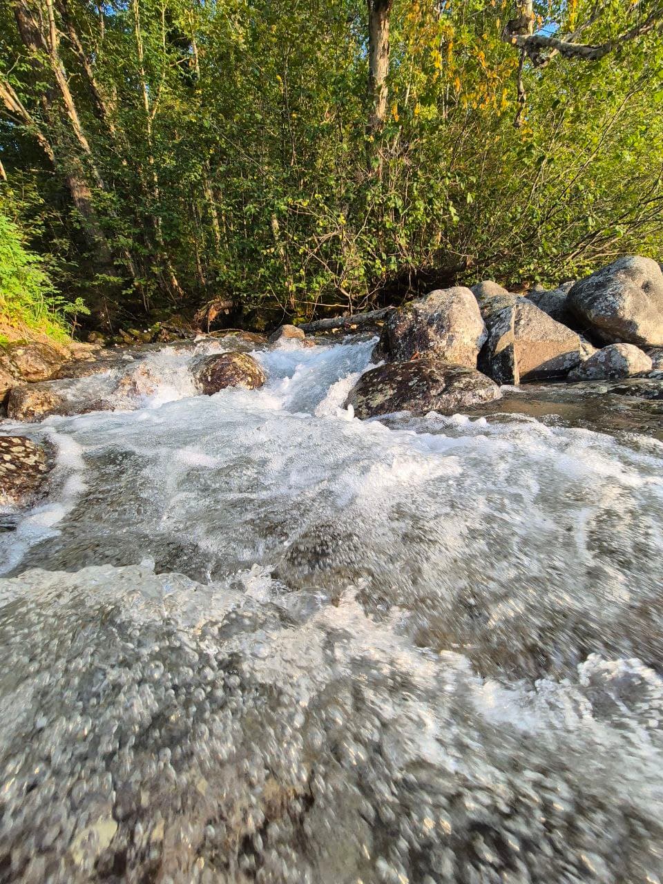 Эксклюзивный тур: отдых и рыбалка в дикой тайге у Северобайкальска - фото 2