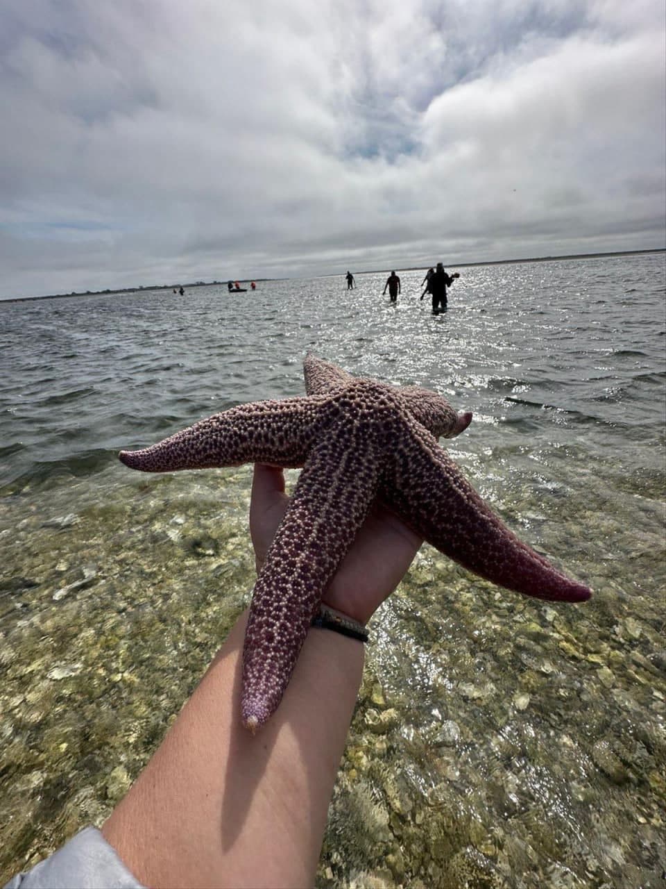 Сахалин и Итуруп. Закрытый тур консьерж-сервисом - фото 9