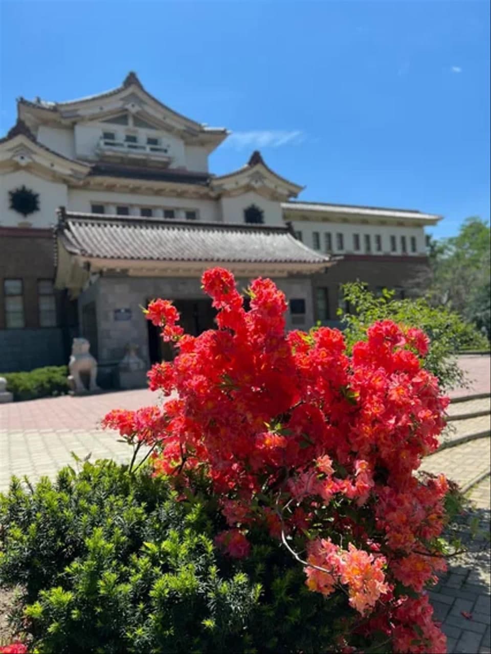 Путешествие начинается