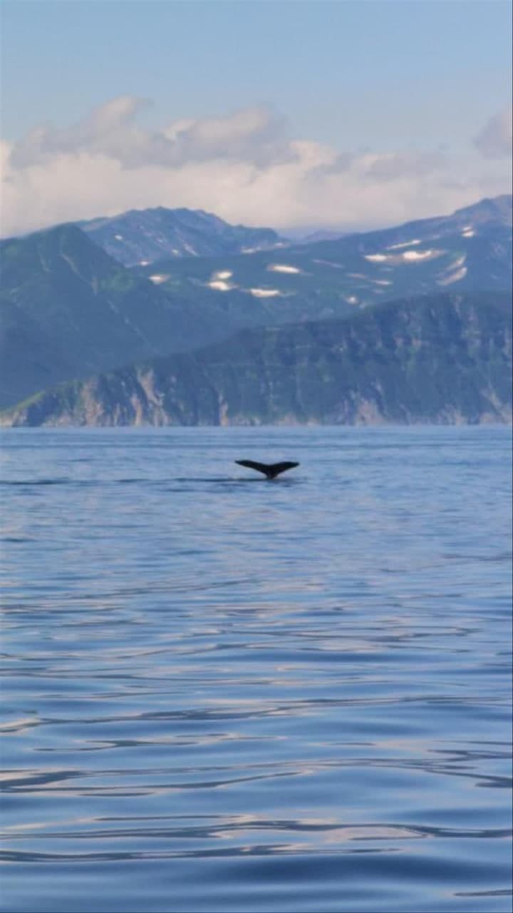 Камчатка. Твое путешествие к краю земли - фото 3