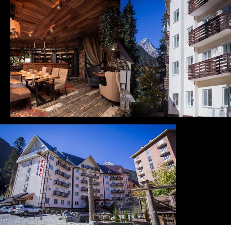 Снежный барс