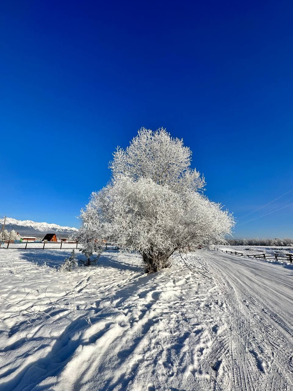 Однодневный тур в курорт Аршан из Иркутска с гидом - фото 2