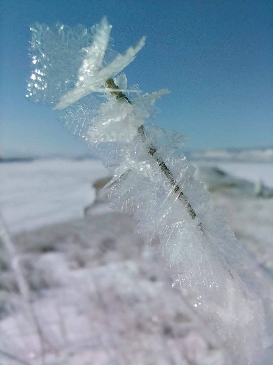 Однодневный тур на остров Ольхон из Иркутска (Листвянки) с обедом, по чистому льду. - фото 4