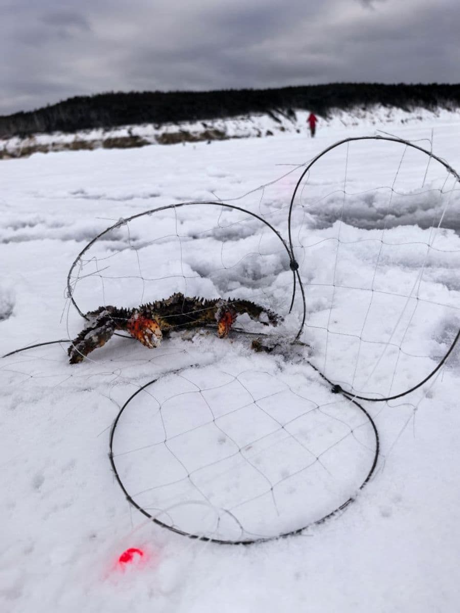 Охота на краба «Сахалинская крабалка» - фото 3