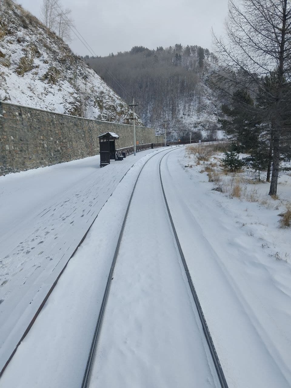 Воскресный тур по КБЖД (Кругобайкальской железной дороге) - Золотой пряжке - фото 4