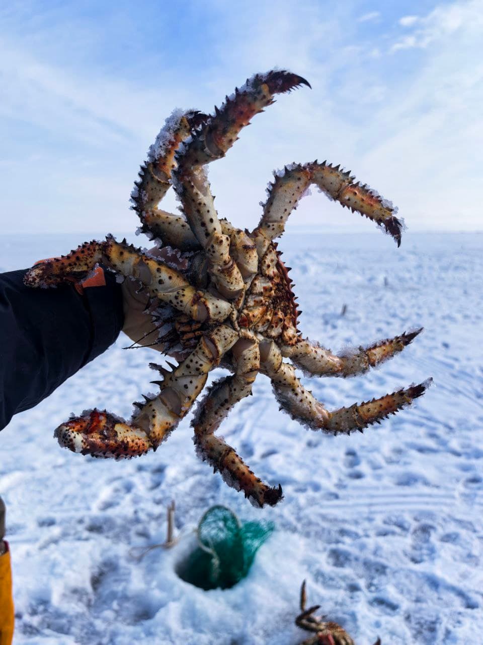 Охота на краба «Сахалинская крабалка» - фото 10