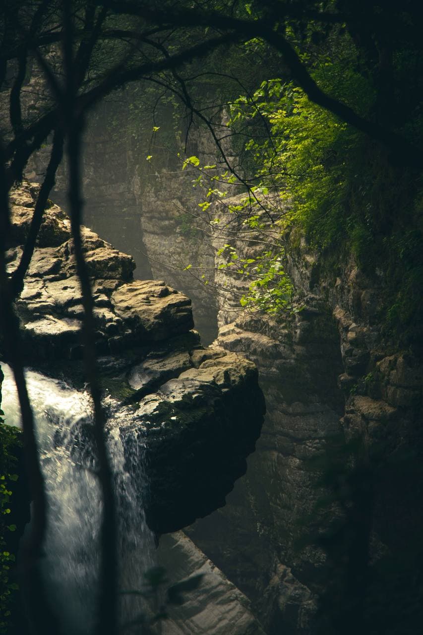 Тур в Батуми на концерт Меладзе - фото 4