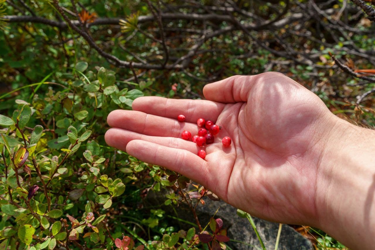 Горный массив Вачкажец - фото 3