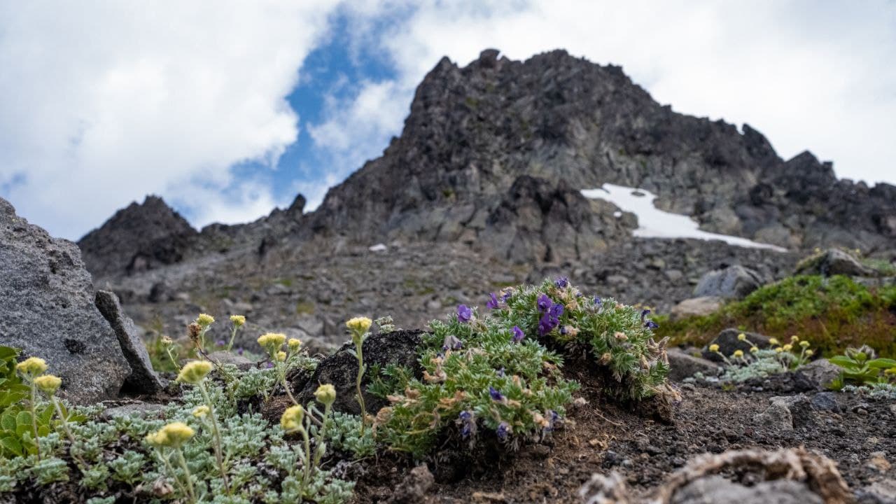 Маршрут экскурсии