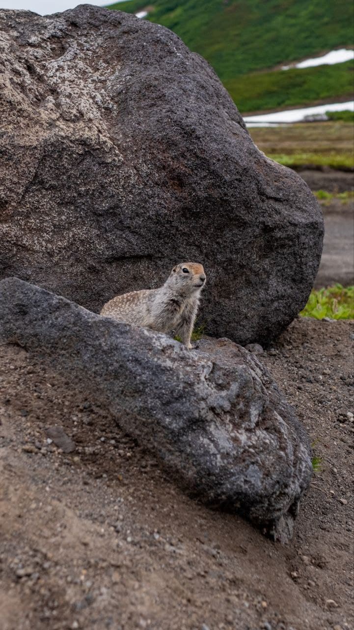 Авачинский перевал + Экструзия Верблюд - фото 9