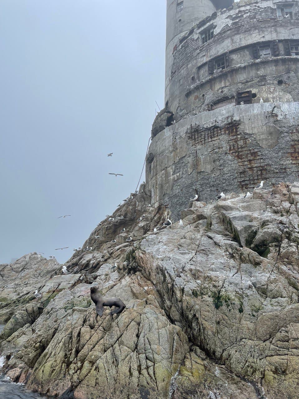 Программа экскурсии