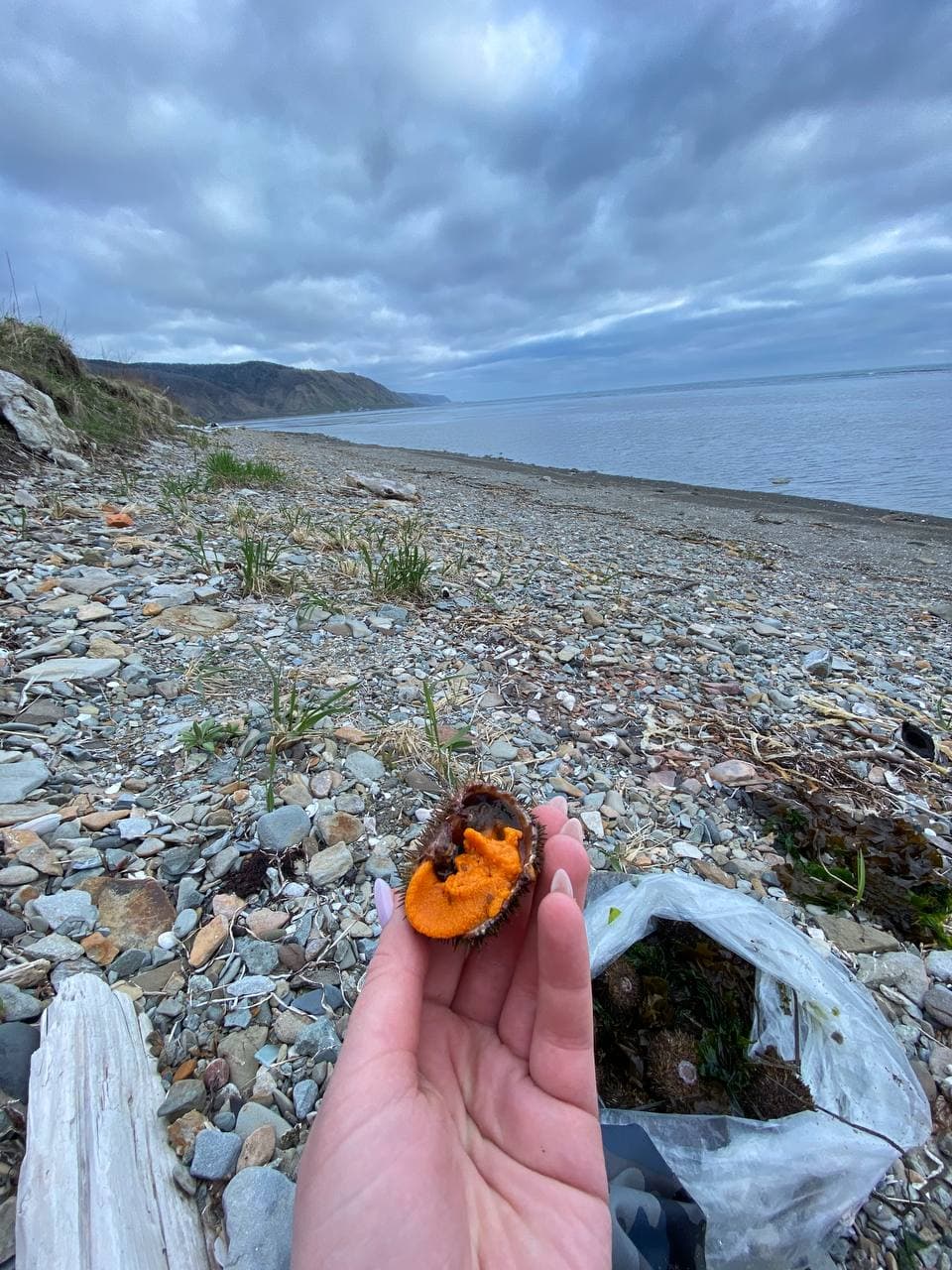 Программа экскурсии