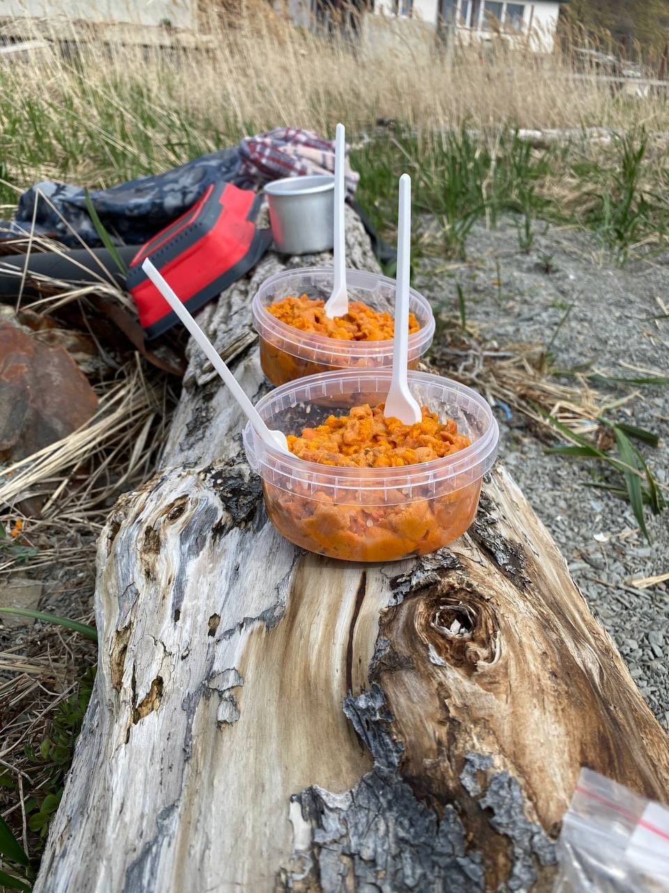 Программа экскурсии