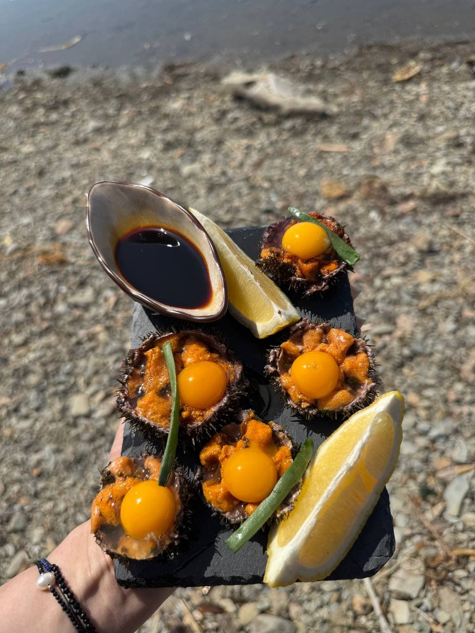 Эксклюзивная гастрономическая экскурсия «Охота на морского ежа» - фото 5