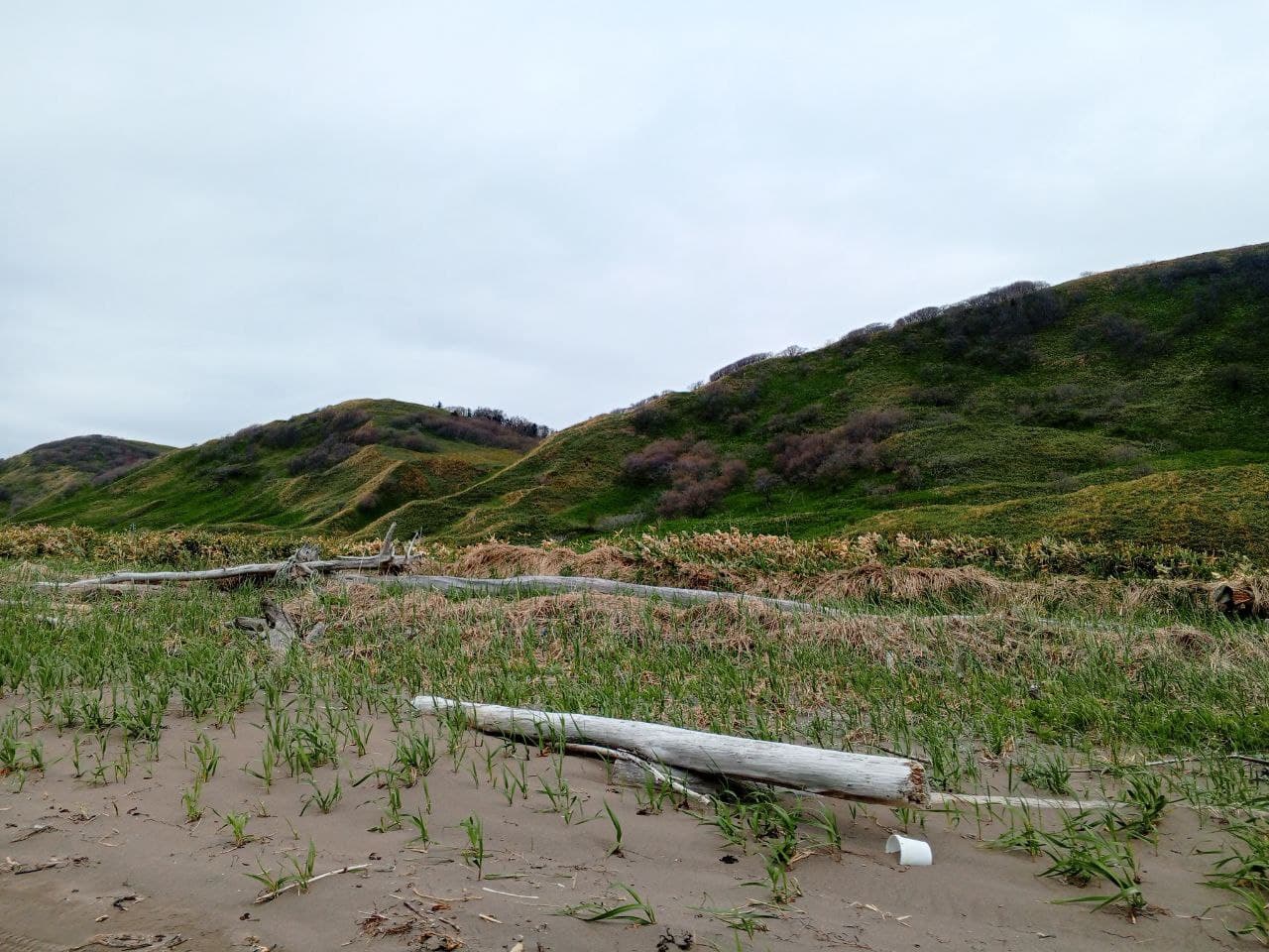 Мыс Виндис и «Гора Коврижка»​ - фото 5